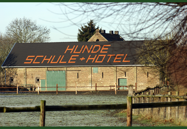 Gutshof der Sindorfer Mühle mit Hundeschule und Hundehotel